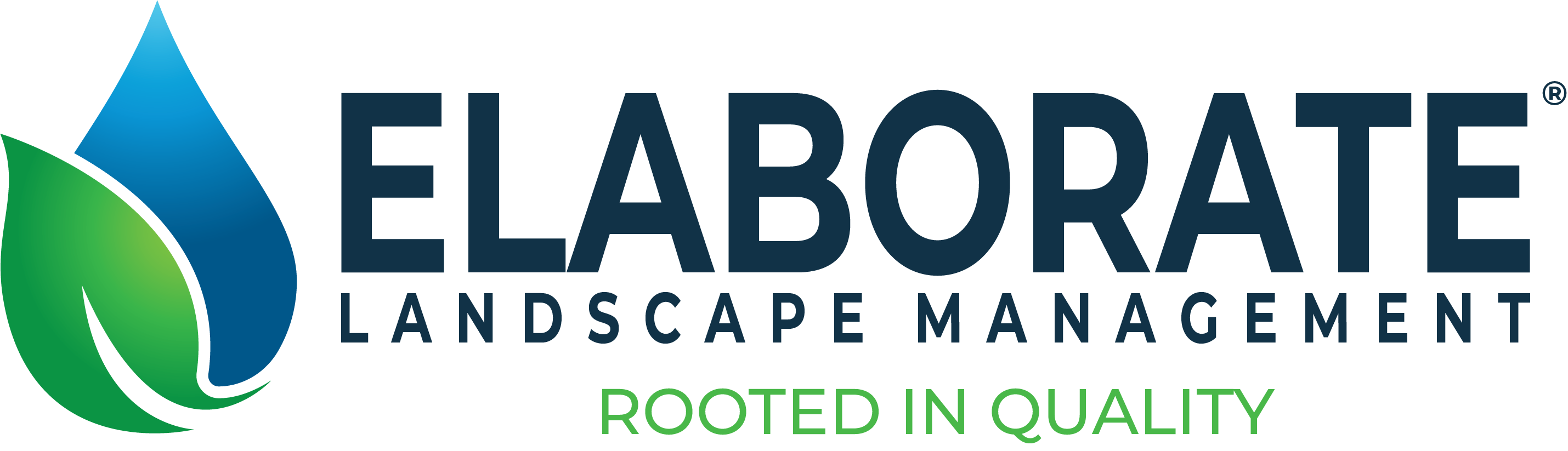 Elaborate Landscape Management